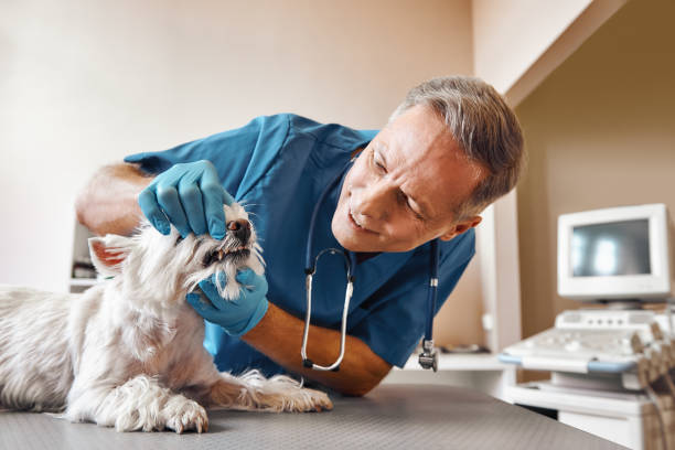 Best Walk-In Emergency Dental Services in Leakesville, MS